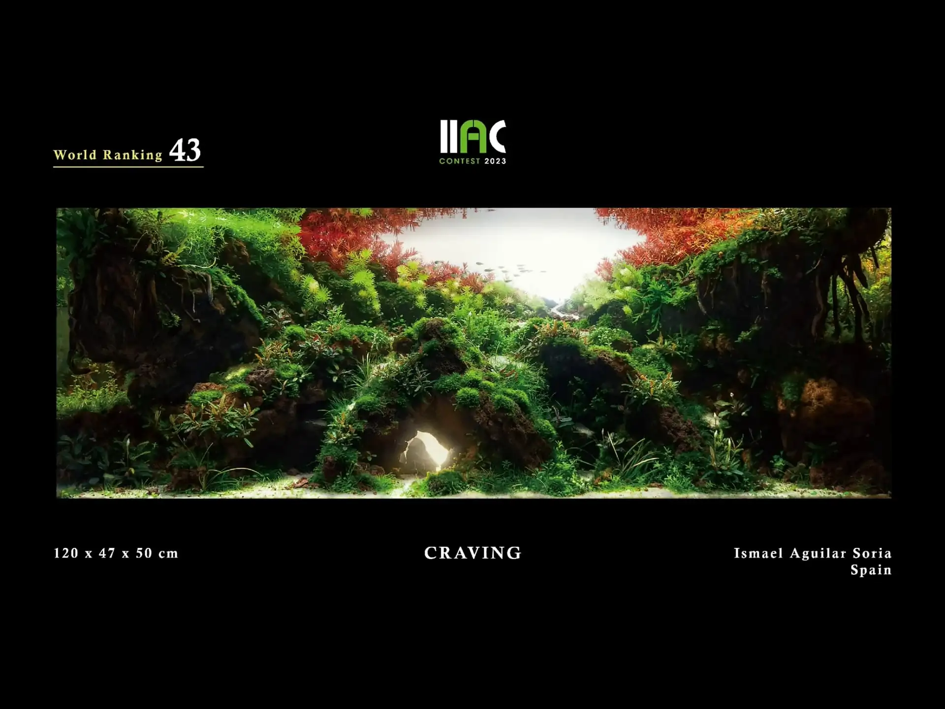 CRAVING - IIAC 2023 #43 Ismael Aguilar Soria / Spain